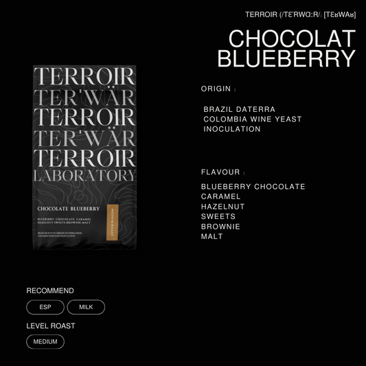 CHOCOLATE BLUEBERRY