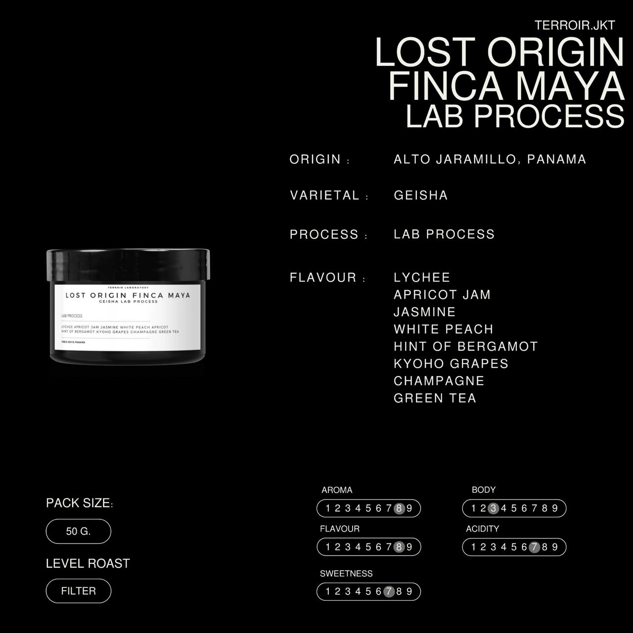 Lost Origin Finca Maya – Lab Process
